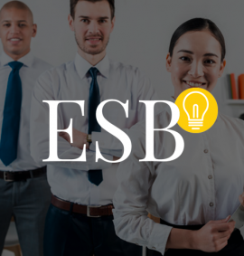 ESB logo on a grey out overlay