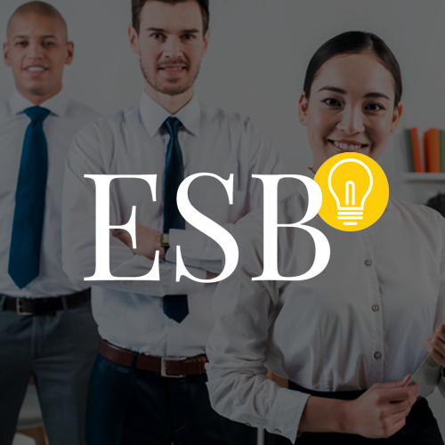 ESB logo on a grey out overlay